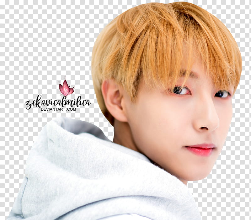 NCT Dream Renjun We Go Up x Naver transparent background PNG clipart