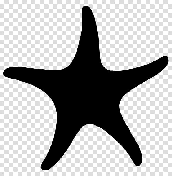 Star Symbol, Starfish, Silhouette, Cartoon, Drawing transparent background PNG clipart