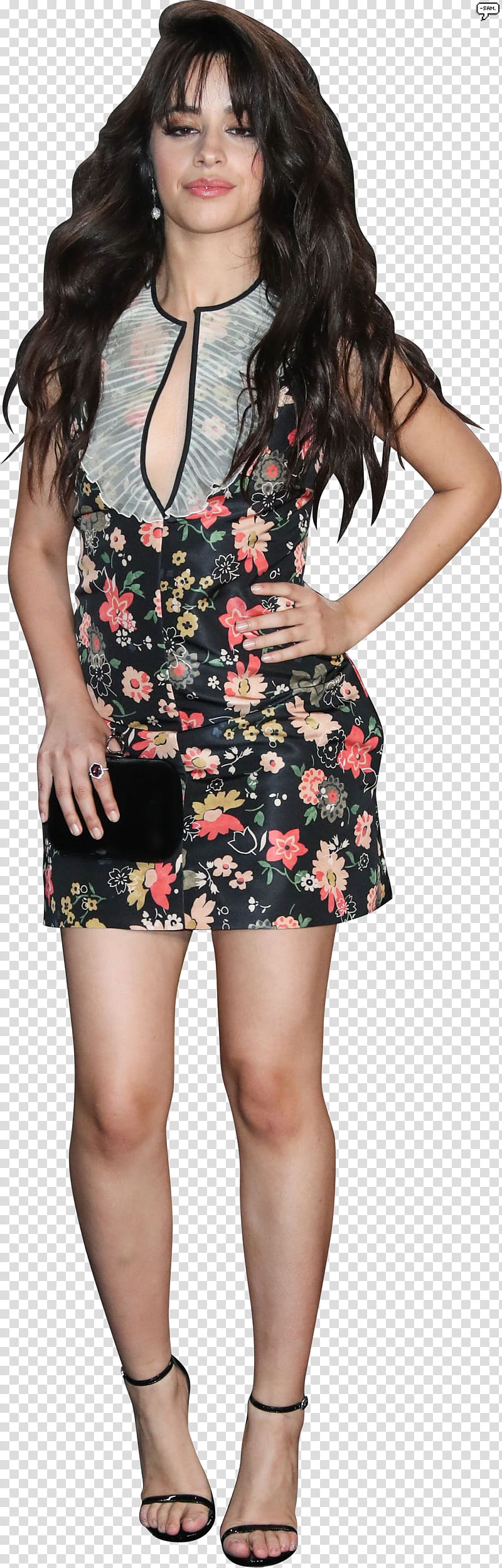 Camila Cabello , A icon transparent background PNG clipart