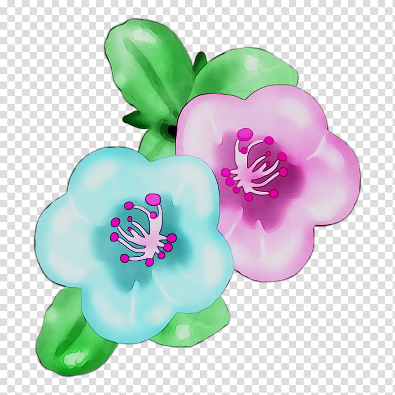 Pink Flower, Cut Flowers, Turquoise, Petal, Plant, Impatiens transparent background PNG clipart