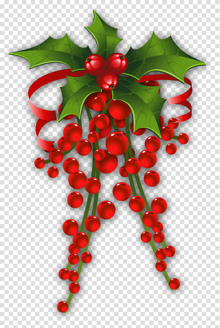 THIRD CHRISTMAS, red and green mistletoe illustration transparent background PNG clipart