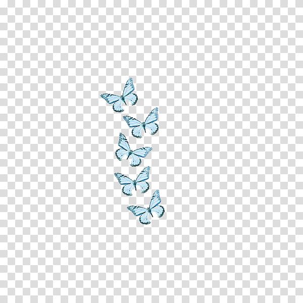 Butterflies Mariposas , five blue butterflies transparent background PNG clipart