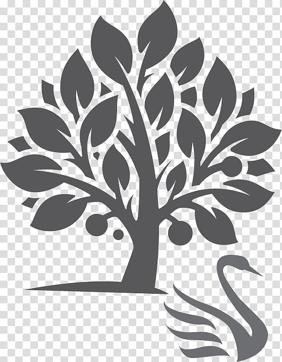 Tree Of Life, Fruit Tree, Oak, Plants, Tree Planting, Therapy, Bark, Massage transparent background PNG clipart