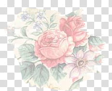 Small Floral Texture, pink roses transparent background PNG clipart