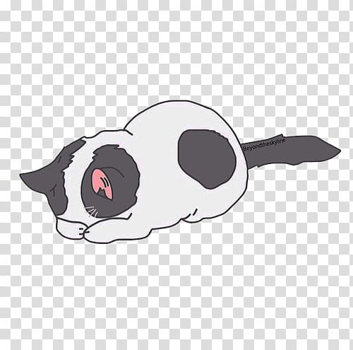 o v e r l a y S, sleeping white and black cat illustration transparent background PNG clipart