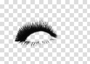 Eyelash , illustration of eyebrow transparent background PNG clipart