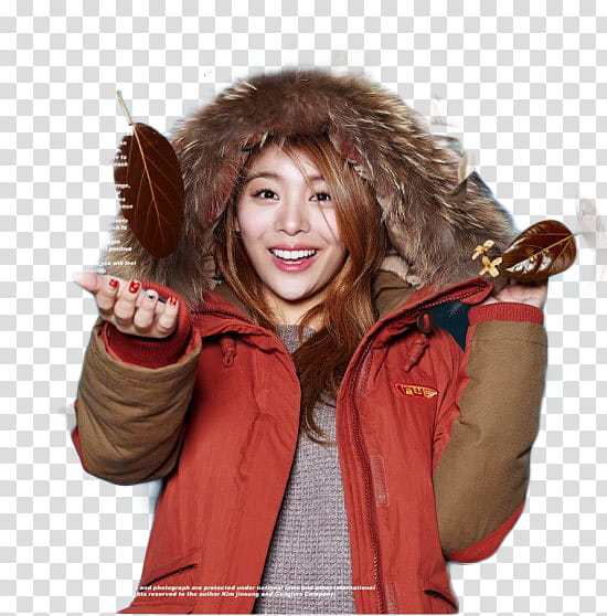 Ailee transparent background PNG clipart