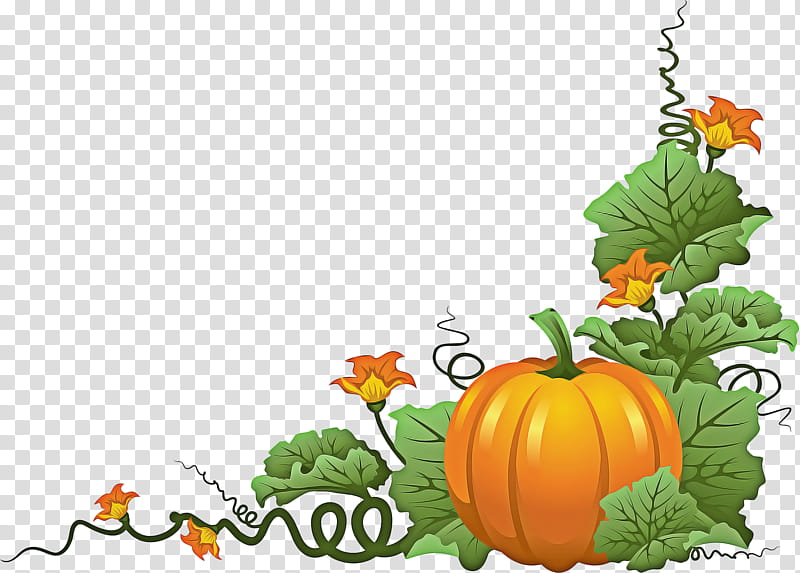 Halloween Orange, Pumpkin, Vine, Halloween , Field Pumpkin, Drawing, Calabaza, Vegetable transparent background PNG clipart