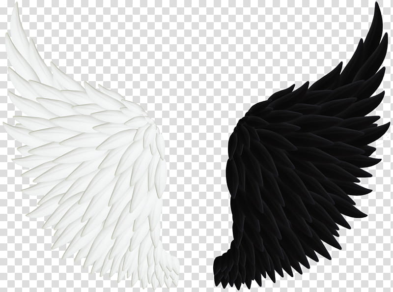 Angel Wings , pair of white and black wings illustration transparent background PNG clipart