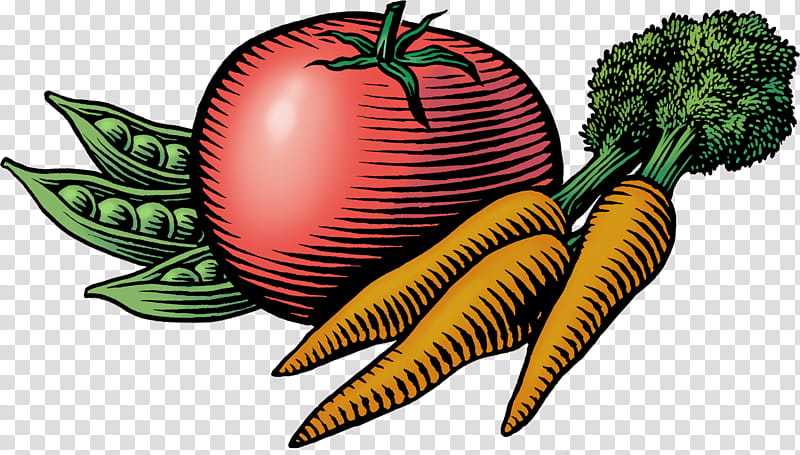 Carrot, Farmers Market, Vegetable, Agriculturist, Marketplace, Food, Local Food, Agriculture transparent background PNG clipart