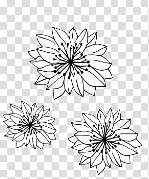 Doodles and Drawing , three sketches of flowers transparent background PNG clipart