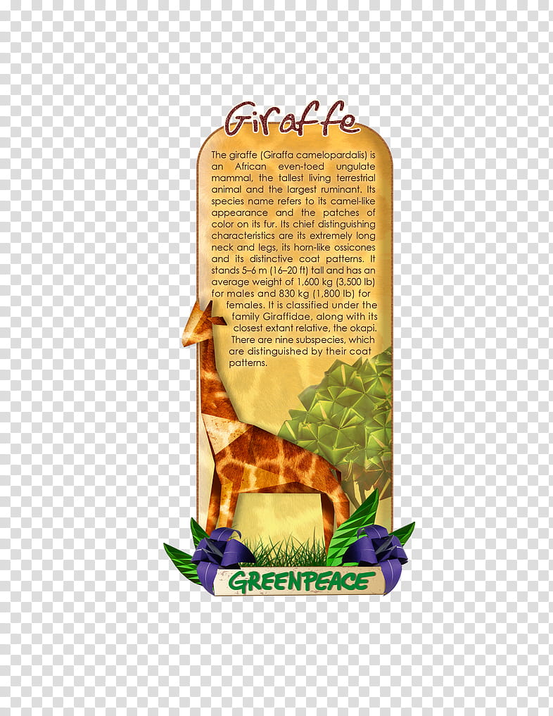 Greenpeace giraffe transparent background PNG clipart
