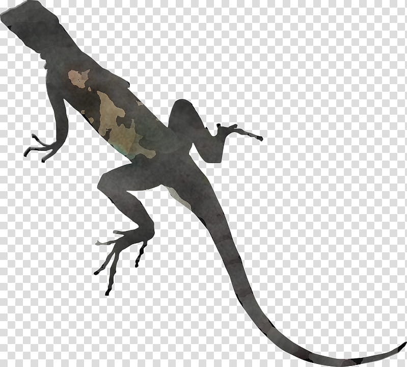 lizard reptile scaled reptile gecko dragon lizard, Animal Figure, Tail, Wall Lizard, Iguania transparent background PNG clipart