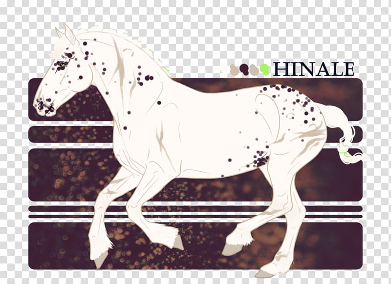RWE Hinale transparent background PNG clipart