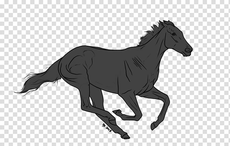 TB Lineart for Use , gray horse illustration transparent background PNG clipart
