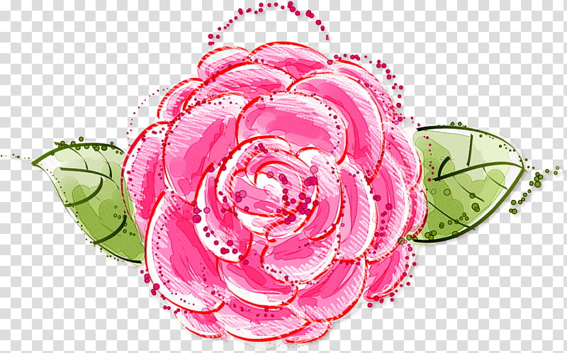one flower one rose valentines day, Love, Pink, Plant, Garden Roses, Petal, Cut Flowers, Rose Family transparent background PNG clipart