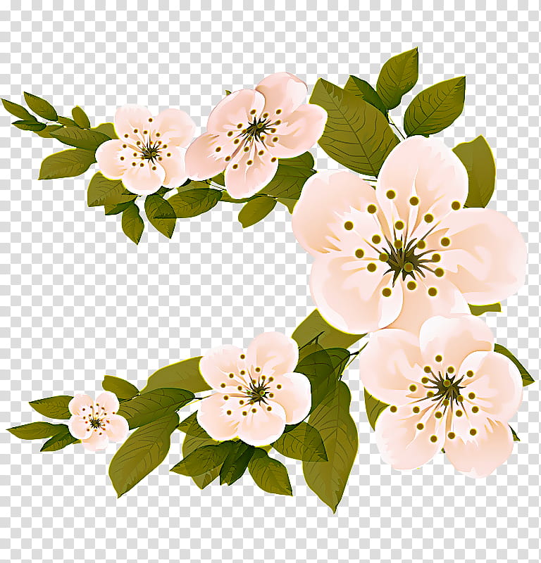 flower petal plant blossom flowering plant, Branch, Cut Flowers, Rosa Rubiginosa, Rose Family transparent background PNG clipart