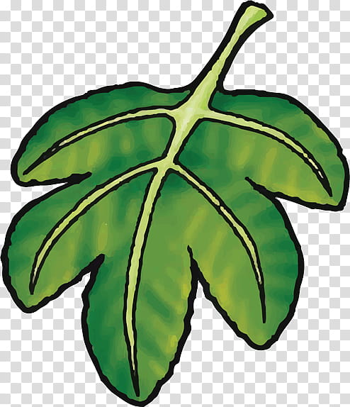 Family Tree, Christian , Leaf, Fig Leaf, Bible, Olive Leaf, Plant Stem, Common Fig transparent background PNG clipart