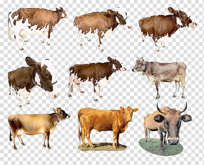 Cow, Watercolor, Paint, Wet Ink, Dairy Cattle, Calf, Taurine Cattle, Ox transparent background PNG clipart