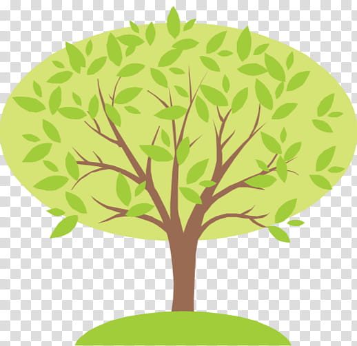 Family Tree Reunion, Genealogy, Family Reunion, Father, Ancestor, History, Child, Genealogy Software transparent background PNG clipart