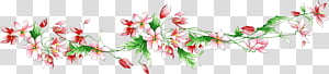flower plant cut flowers, Watercolor, Paint, Wet Ink transparent background PNG clipart thumbnail