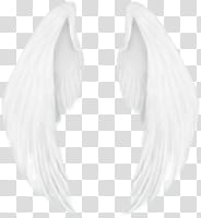 Recursos Alas De Angel , white wings transparent background PNG clipart