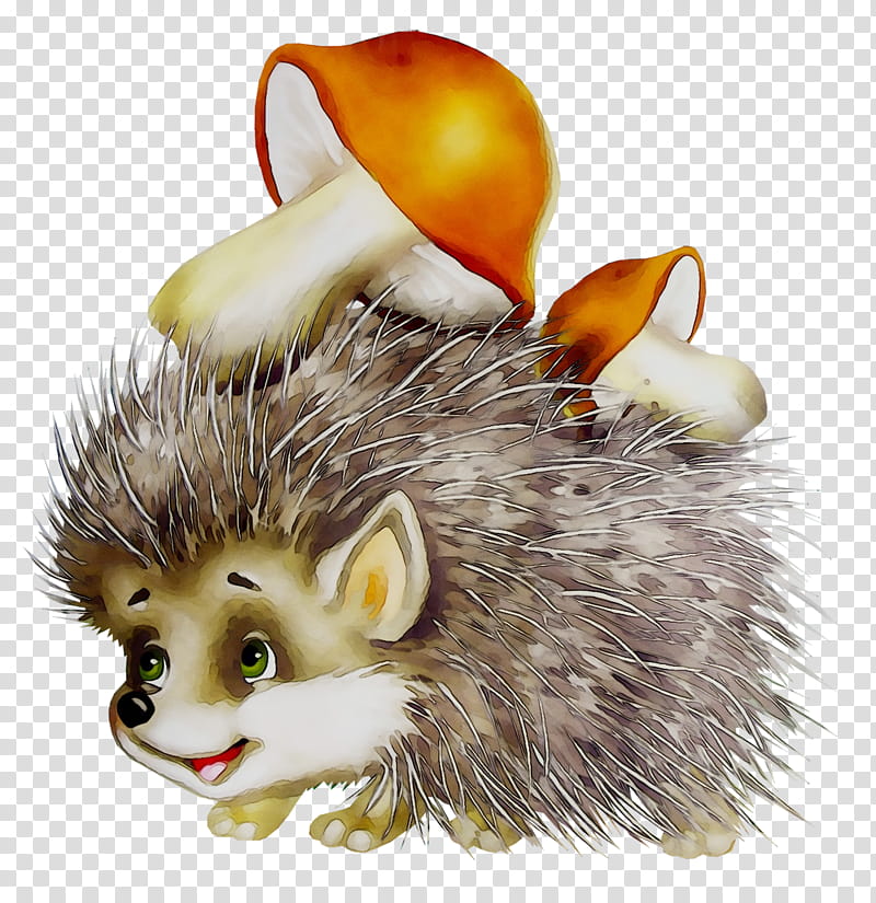 Child, Hedgehog, European Hedgehog, Longeared Hedgehog, Drawing, Krosh, Lesson, Animal transparent background PNG clipart