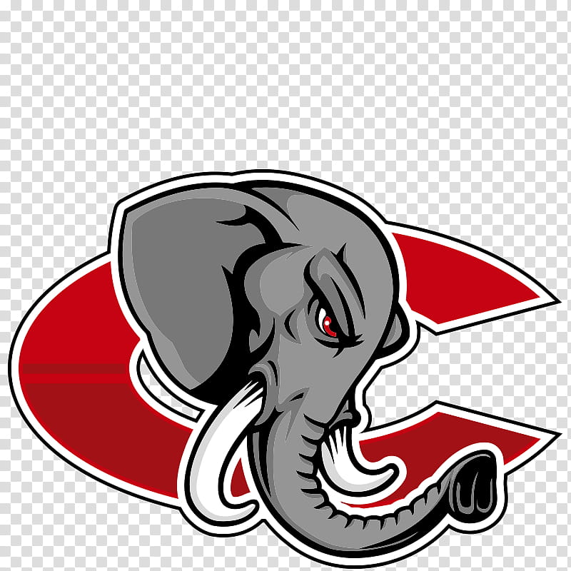 American Football, Catania Elephants, Third Division, Indian Elephant, Mad Bulls Barletta, Dog, Arizona Cardinals, Logo transparent background PNG clipart