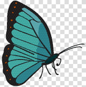 Tiger, Monarch Butterfly, Gossamerwinged Butterflies, Brushfooted Butterflies, Moth, Turquoise, Microsoft Azure, Tiger Milkweed Butterflies transparent background PNG clipart thumbnail