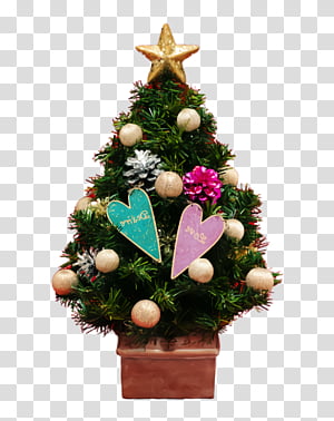 Christmas tree, Christmas Decoration, Christmas Ornament, Oregon Pine, Christmas 
, Colorado Spruce, Holiday Ornament, Plant transparent background PNG clipart thumbnail
