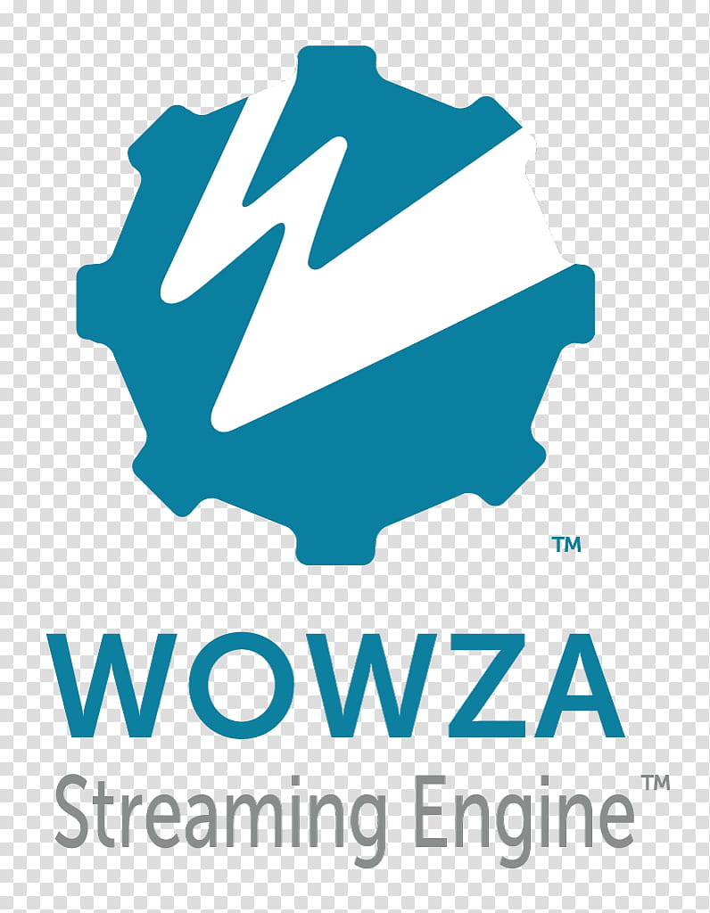 Text, Wowza Streaming Engine, Streaming Media, Logo, Computer Servers, Media Server, Aqua, Vkontakte transparent background PNG clipart