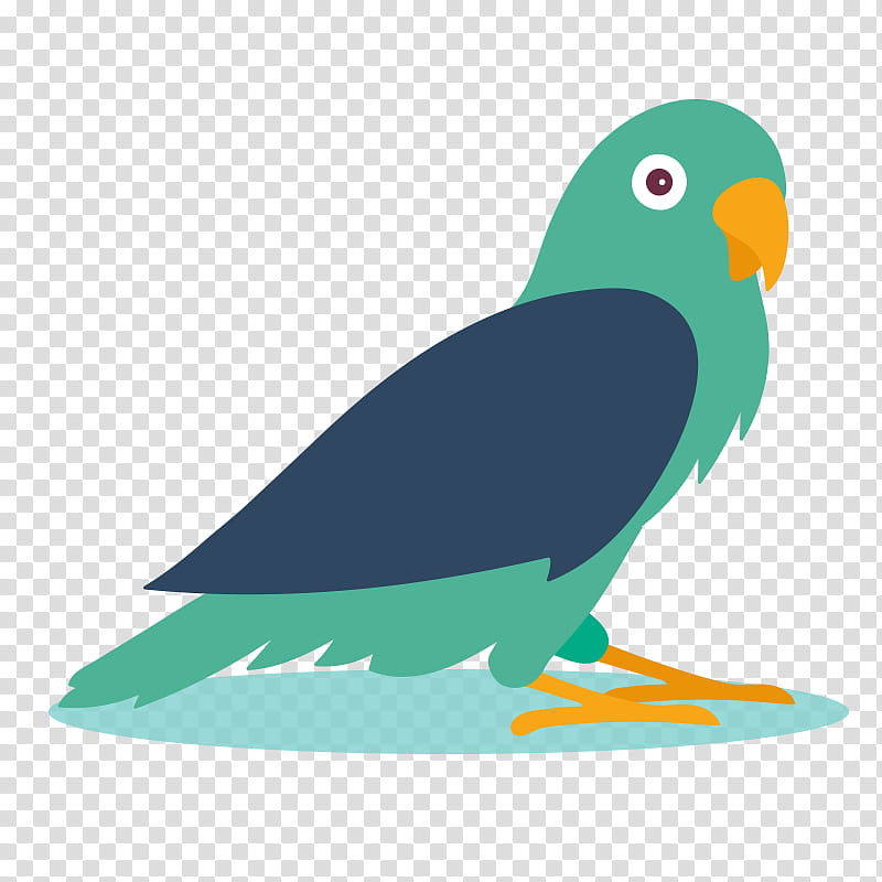 Bird Parrot, Cartoon, Beak, Bird Of Prey, Animal, Wing, Feather, Perico transparent background PNG clipart