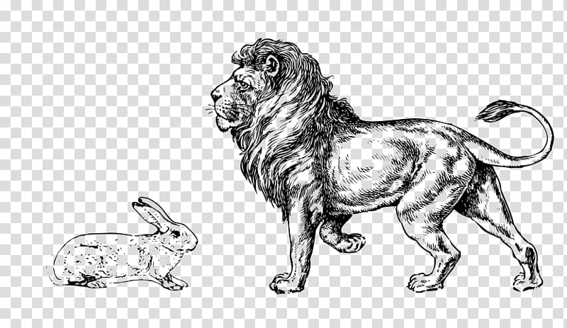 Lion Drawing, Painting, Dog, Line Art, Ancient Dog Breeds, Sporting Group, Animal Figure, Wildlife transparent background PNG clipart