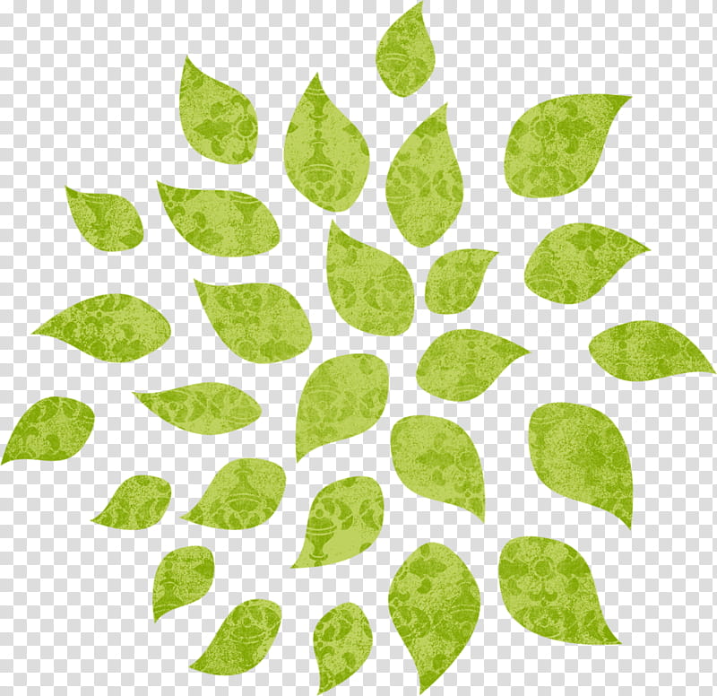 Green Leaf, Tree, Shrub, Animation, Plant Stem, Plants, European Blueberry transparent background PNG clipart