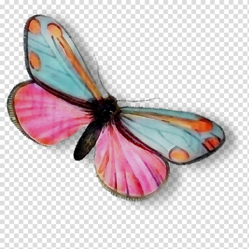 Tiger, Monarch Butterfly, Brushfooted Butterflies, Pieridae, Tiger Milkweed Butterflies, Insect, Moths And Butterflies, Pink transparent background PNG clipart