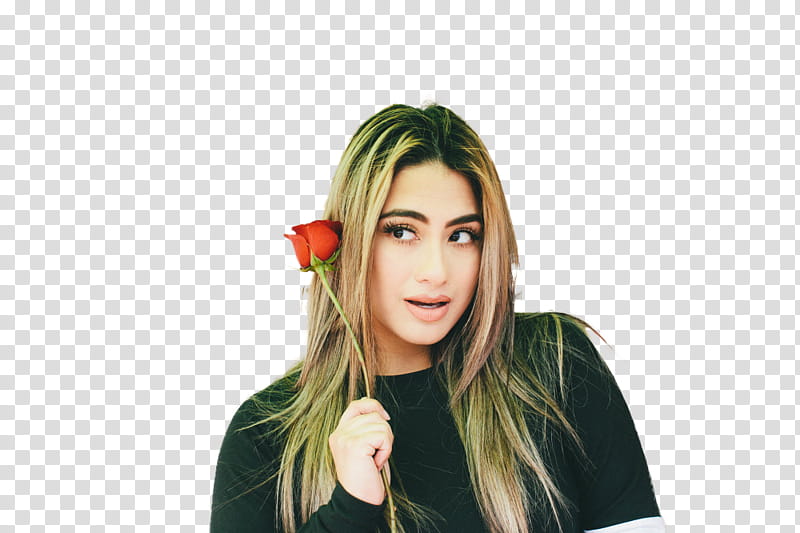 ALLY BROOKE transparent background PNG clipart