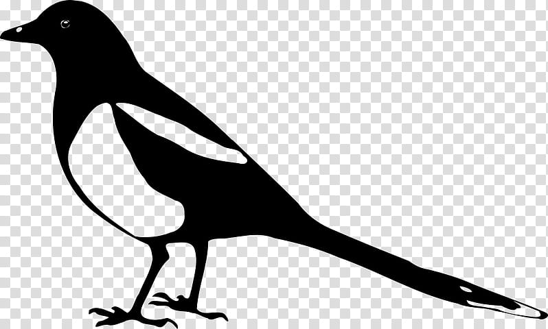 Family Silhouette, Eurasian Magpie, Australian Magpie, Crow, Crow Family, Bird, Beak, Leg transparent background PNG clipart