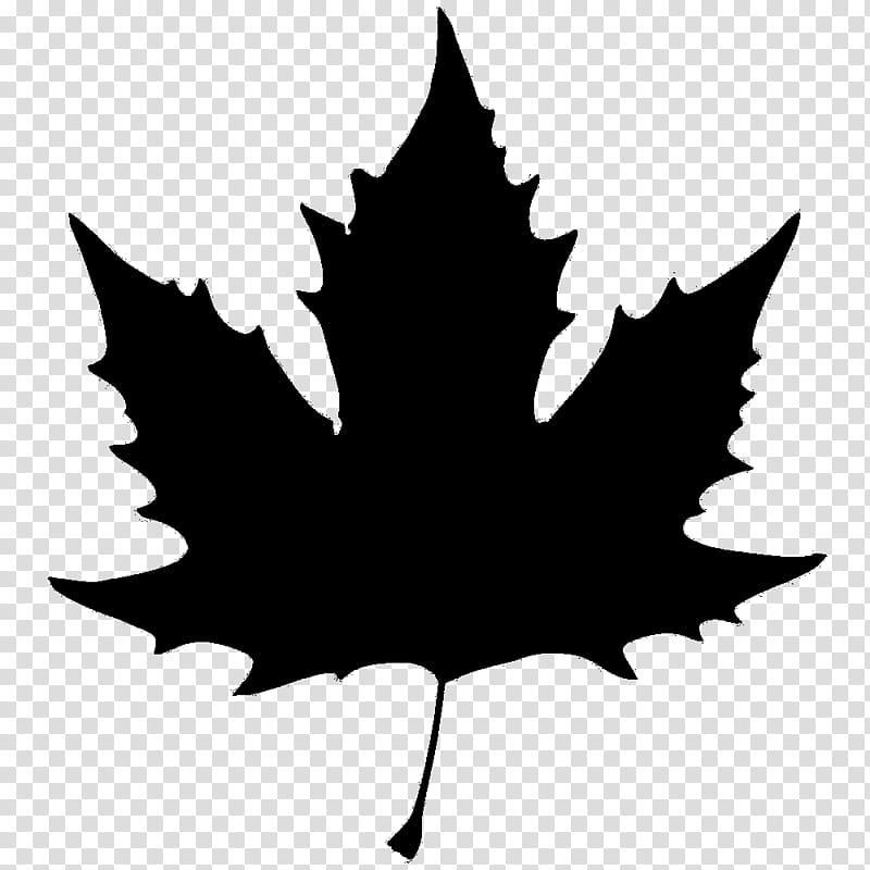 Woody Silhouette, Leaf, Maple Leaf, Plants, Tree, Woody Plant, Plane, Black Maple transparent background PNG clipart