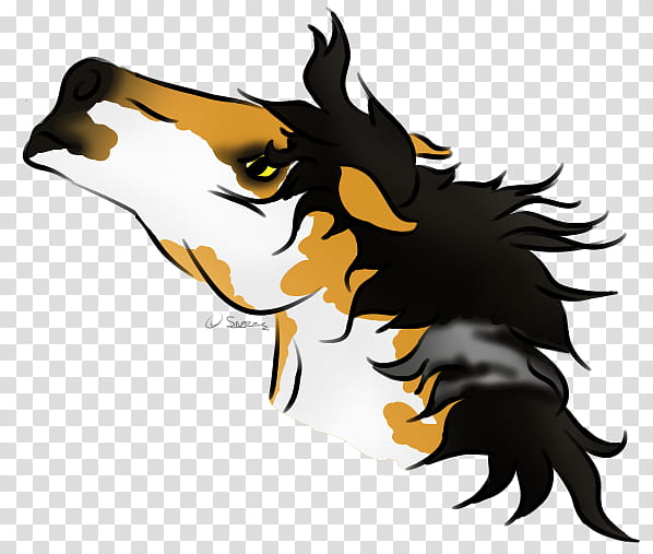 Border Collie, Dog, Horse, Bird, Beak, Bird Of Prey, Character, Head transparent background PNG clipart