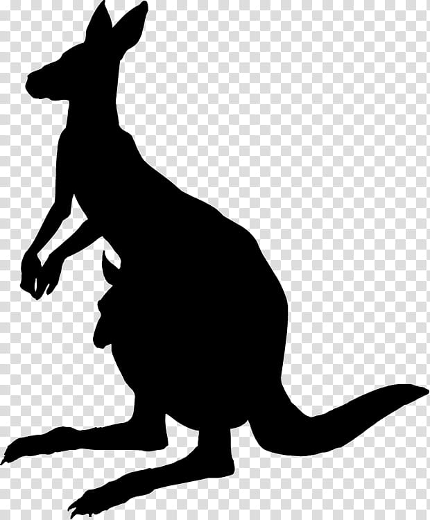 Kangaroo, Hare, Silhouette, Pet, Macropodidae, Wallaby, Red Kangaroo, Tail transparent background PNG clipart