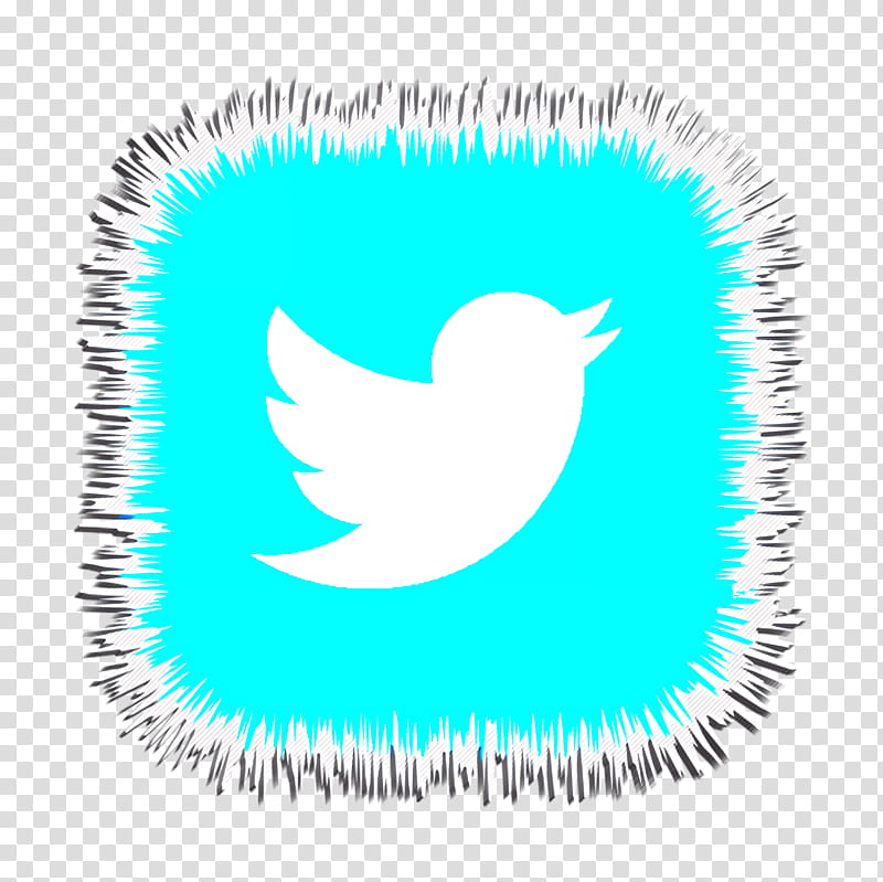 Social Media Icons, Social Icon, Twitter Icon, Journalist, Computer Icons, News, Blog, Donald Trump transparent background PNG clipart