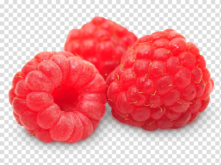Red Flower, Cloudberry, Raspberry, Loganberry, Otto Kern, Boysenberry, Tayberry, Fruit transparent background PNG clipart