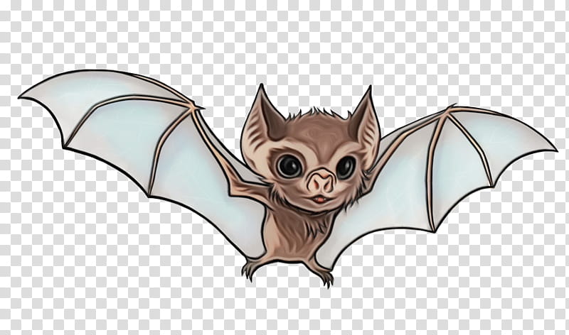 bat vampire bat little brown myotis cartoon fictional character, Watercolor, Paint, Wet Ink, Mouse Eared Bat, Big Brown Bat transparent background PNG clipart