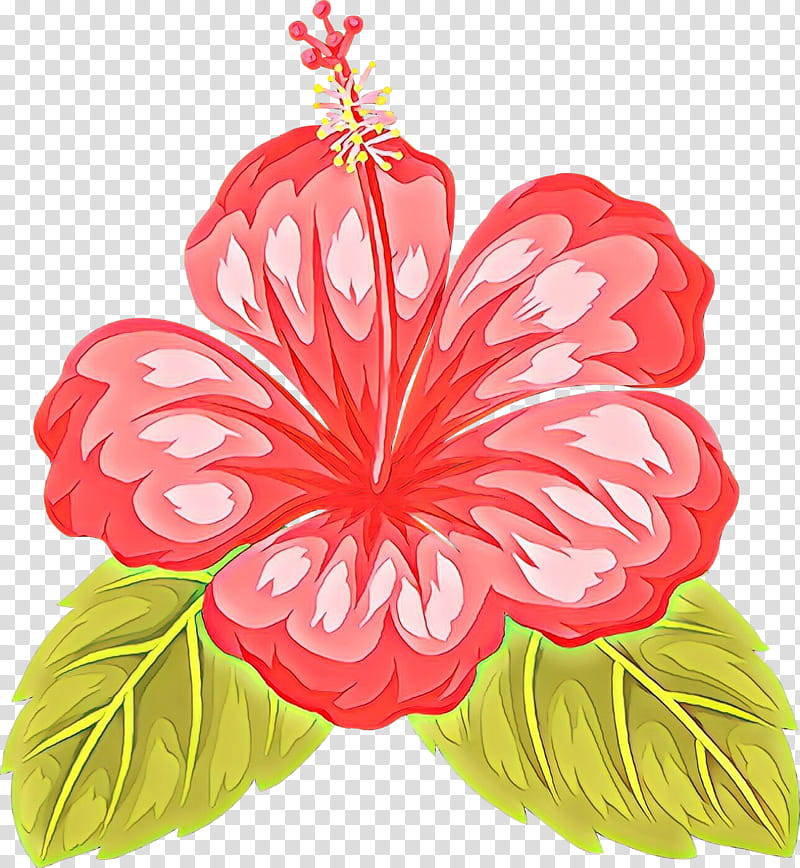 hibiscus hawaiian hibiscus flower petal plant, Cartoon, Chinese Hibiscus, Mallow Family, Flowering Plant, Anthurium transparent background PNG clipart