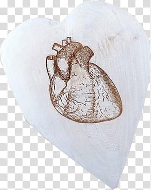 S, human heart transparent background PNG clipart