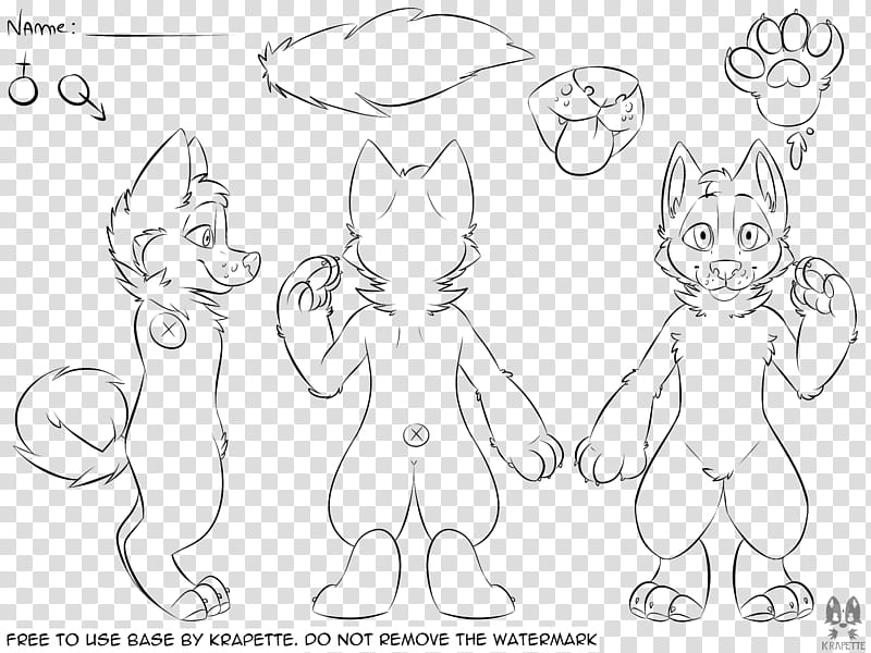 Reference sheet canine Free To Use, fox sketch transparent background PNG c...