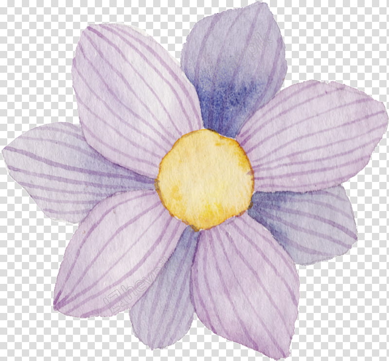 Floral Decorative, Flower, Floral Design, Purple, Yellow, Petal, Lilac, Motif transparent background PNG clipart