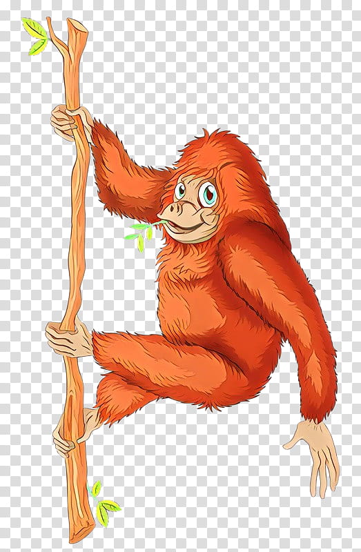 Lion, Gorilla, Ape, Bornean Orangutan, Monkey, Tapanuli Orangutan, Cartoon, Animal transparent background PNG clipart