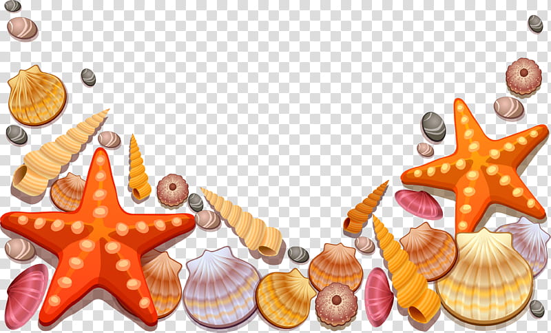 Background Orange, Seashell, Conch, Drawing, Mollusc Shell, Gastropod Shell transparent background PNG clipart