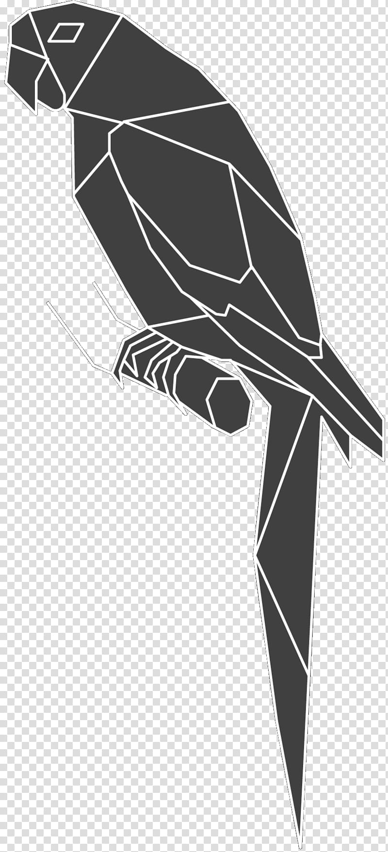 Bird Parrot, Black White M, Beak, Bird Of Prey, Angle, Feather, Black M, Wing transparent background PNG clipart